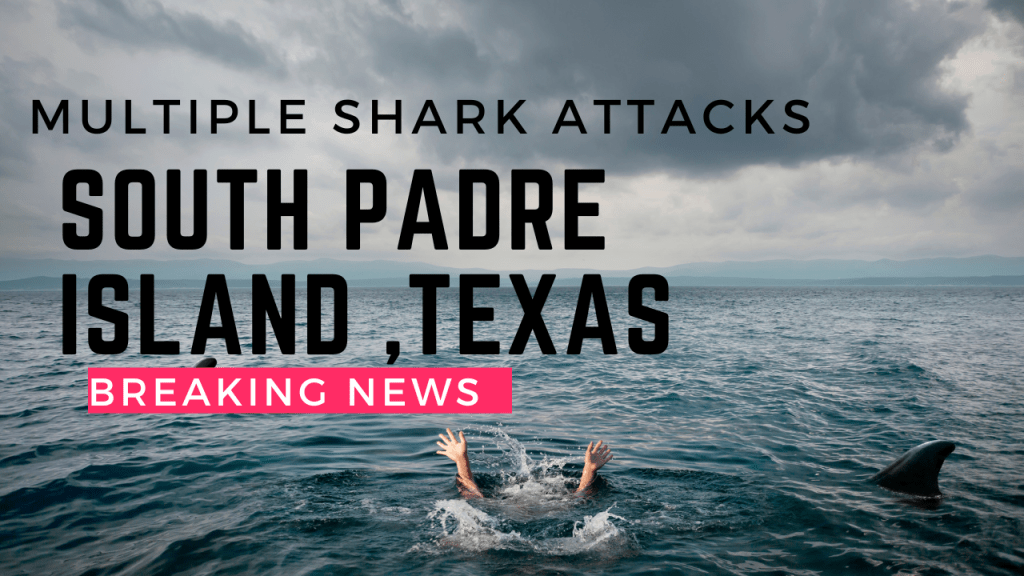 Multiple shark attacks today at South Padre Island Texas&nbsp;#sharkattacks